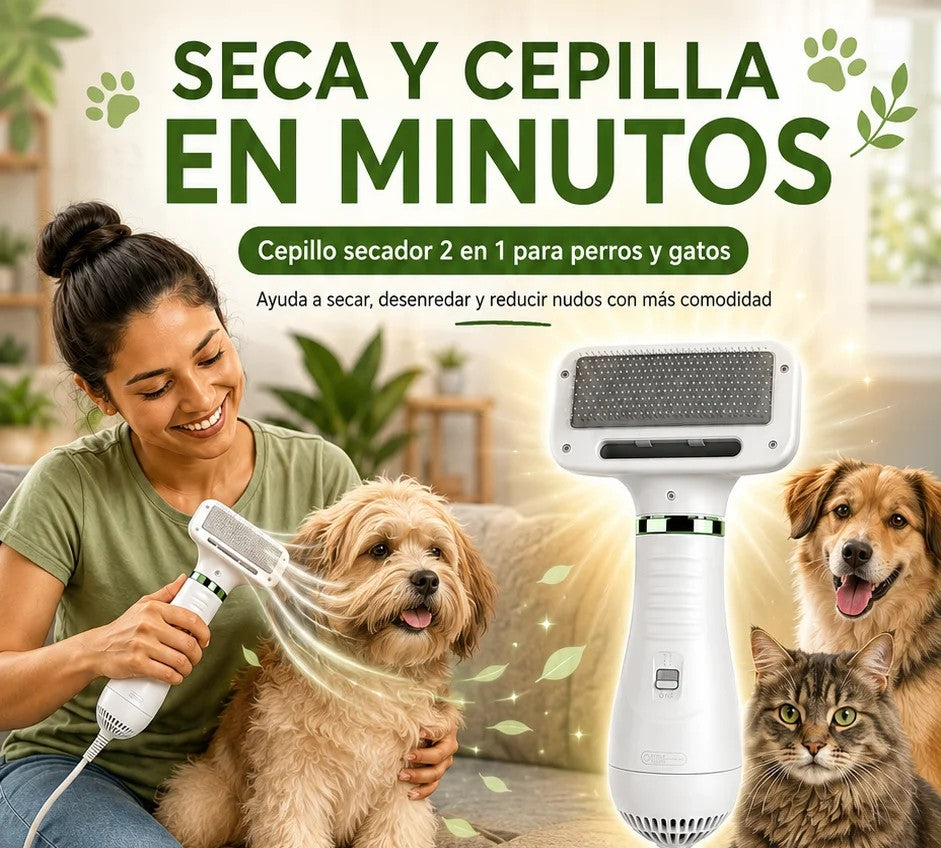 2x cepillo